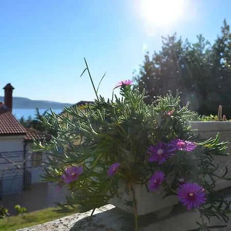 Apartment Garden View
